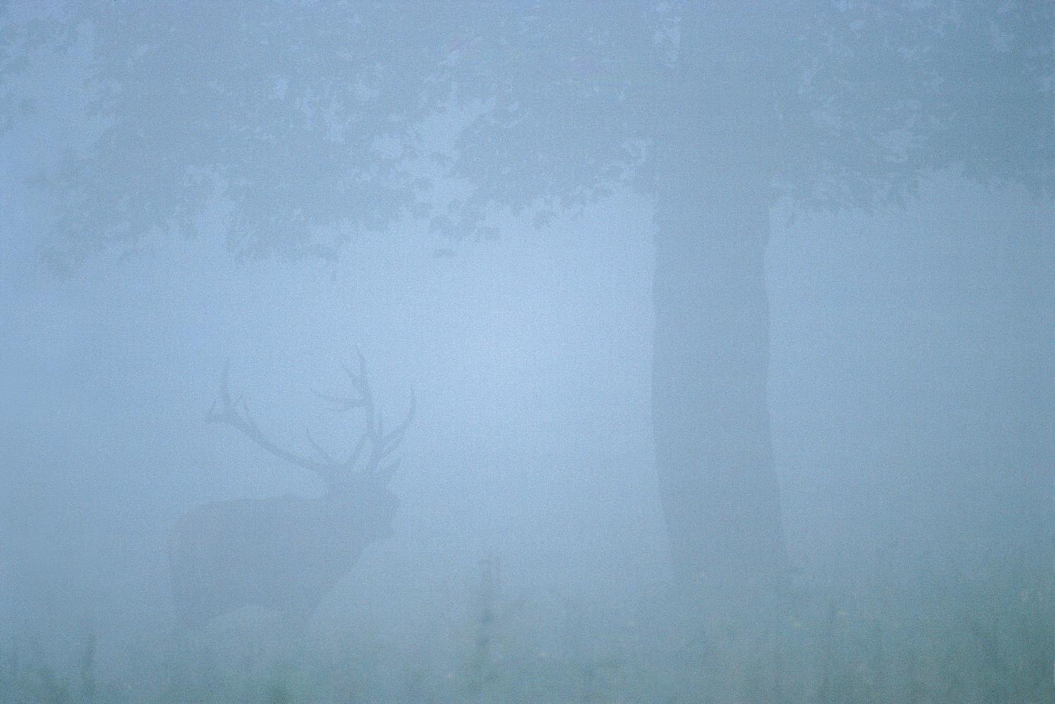 Szeptemberi köd