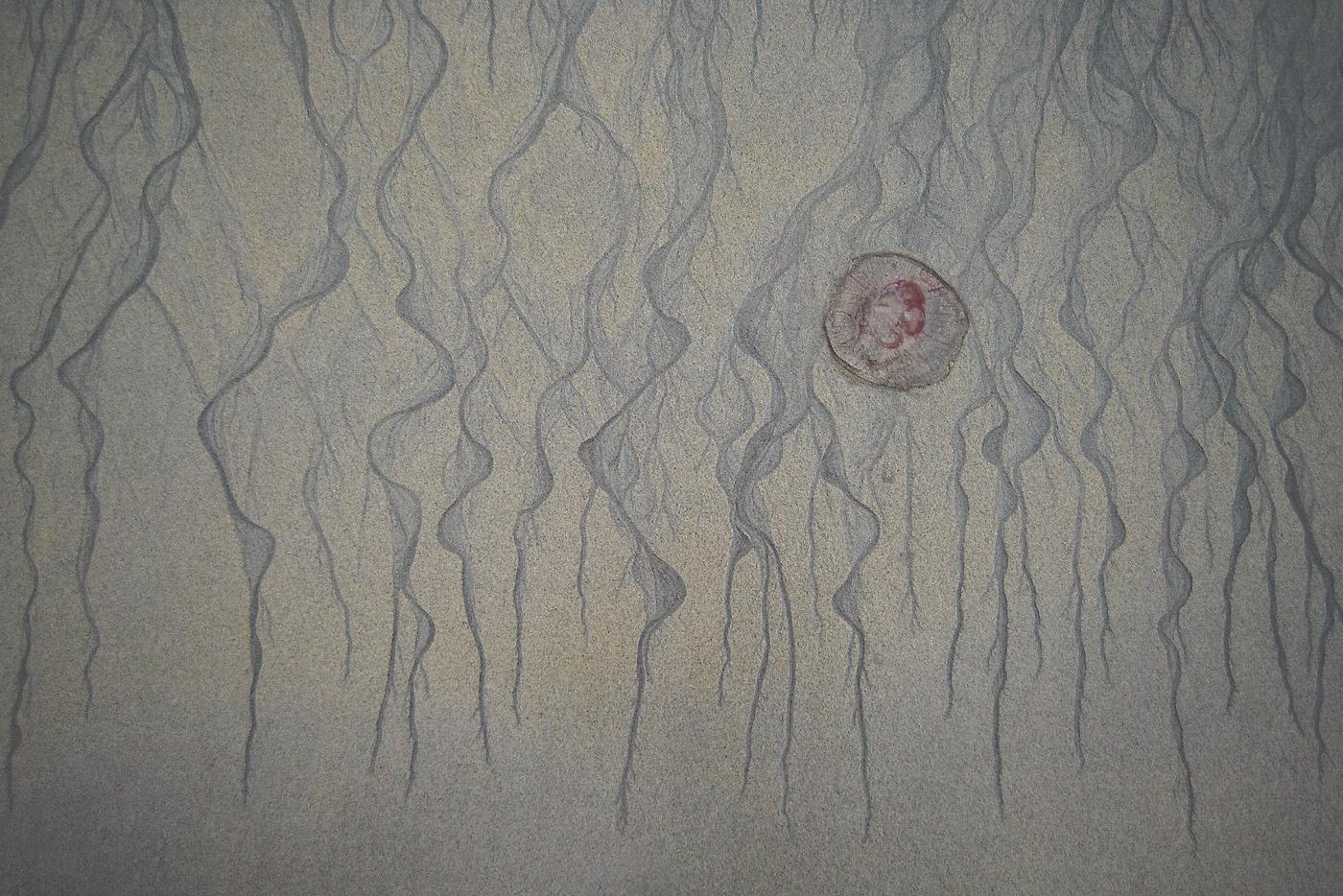 A medúza festménye