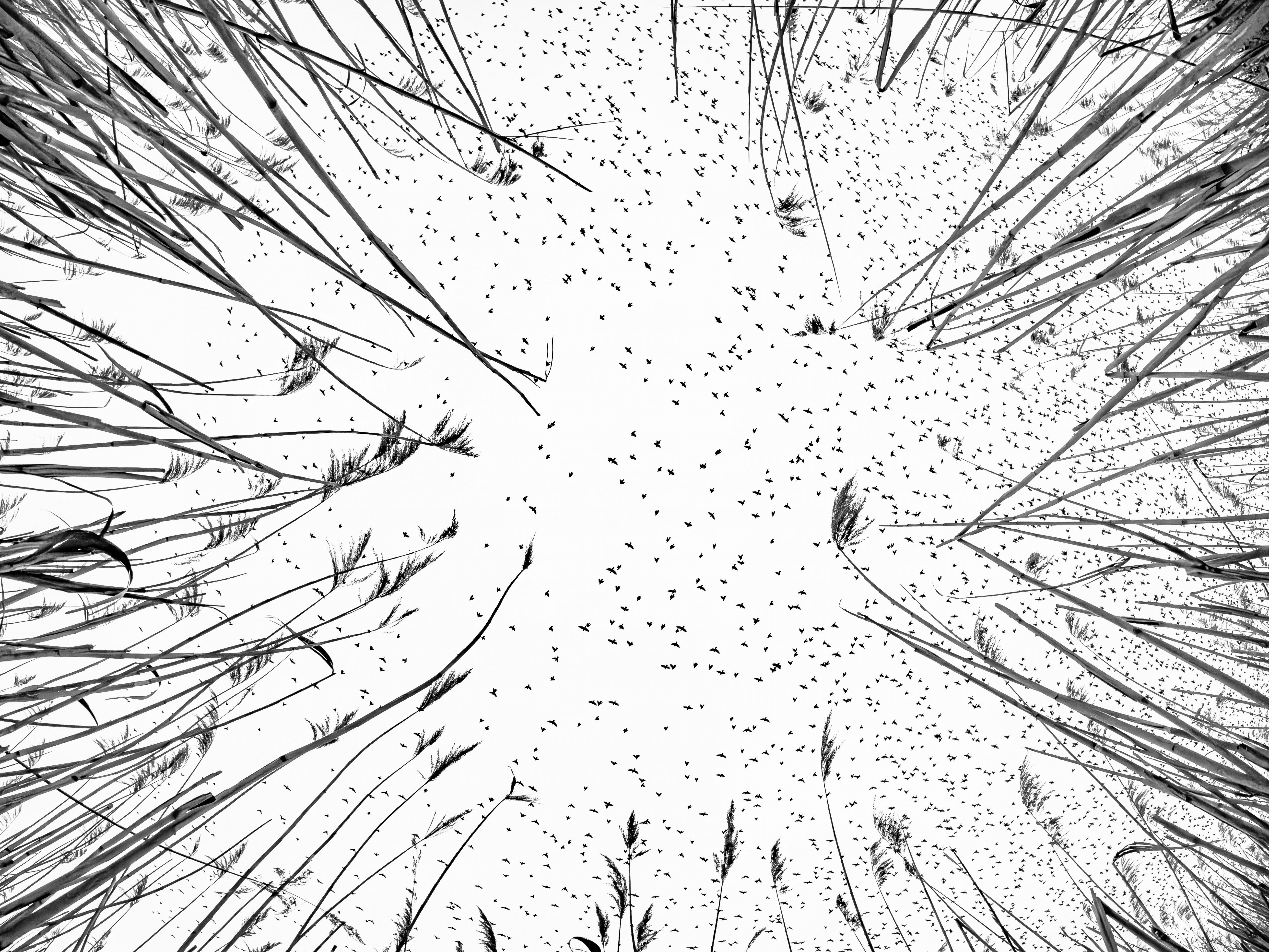 Szárnyak szele alatt