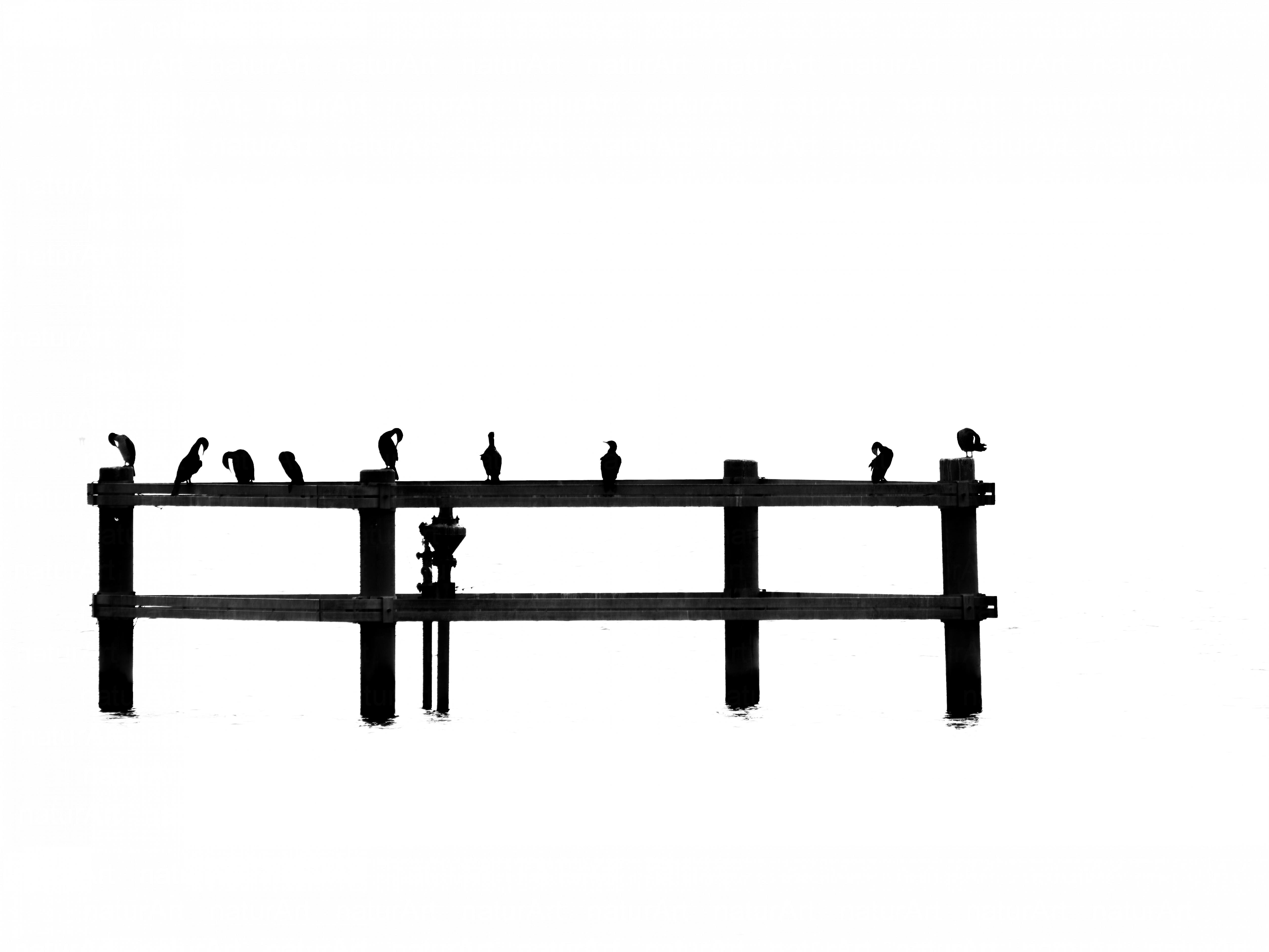 Halászok gyülekezete