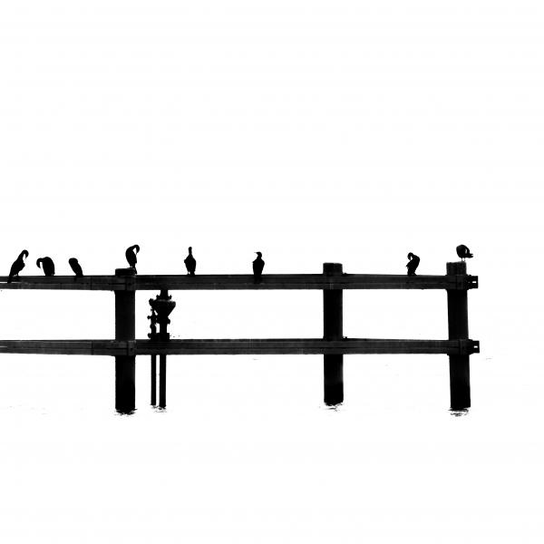 Halászok gyülekezete