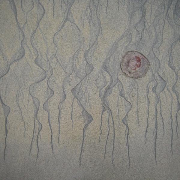 A medúza festménye