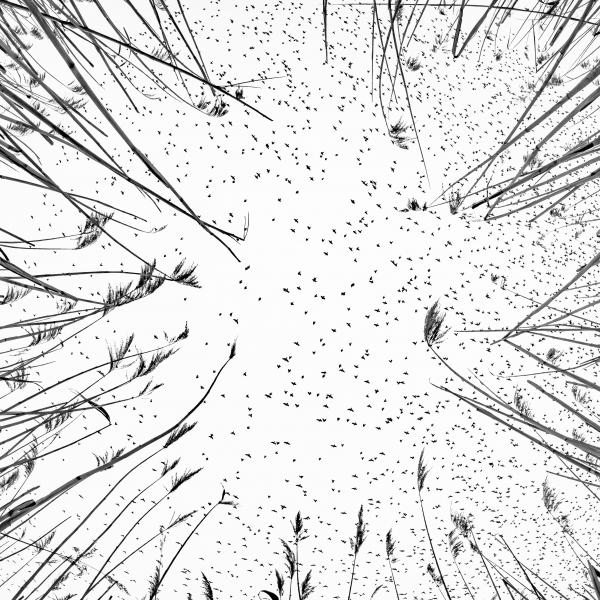 Szárnyak szele alatt