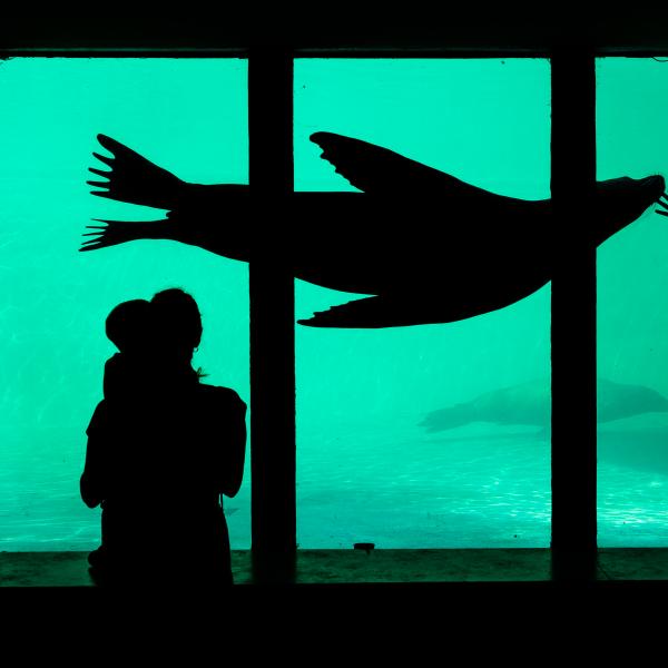 Világok találkozása