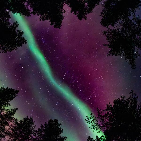 Természetes tűzijáték